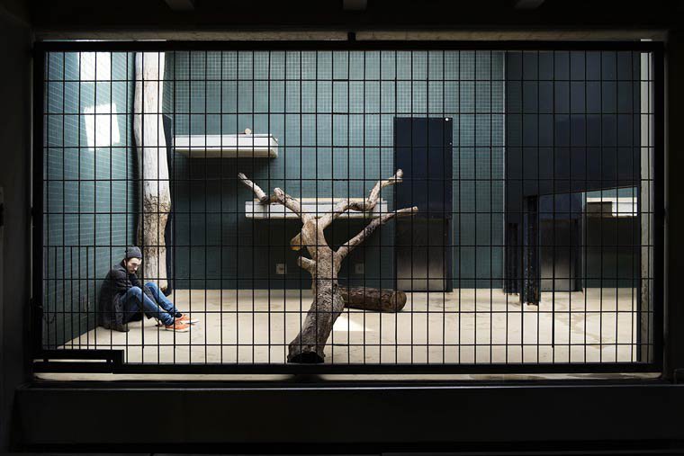 Ζωολογικός κήπος με ανθρώπους: Η φωτογράφιση που σοκάρει [εικόνες] | iefimerida.gr 7