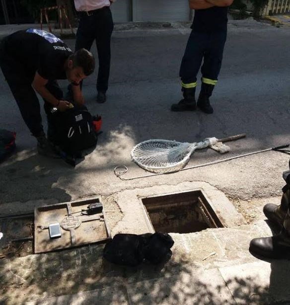 Viral βίντεο: Μπαίνει με... ακροβατικά σε φρεάτιο του Ψυχικού και σώζει εγκλωβισμένο κουτάβι [βίντεο] | iefimerida.gr 1