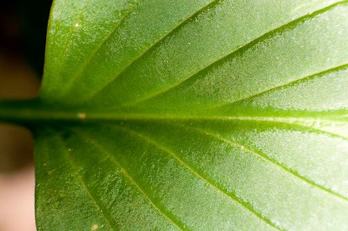 Πώς η συμμετρία εξηγεί τα πάντα στην φυσική; -Ο μόνιμος οδηγός των επιστημόνων [εικόνες] | iefimerida.gr 0