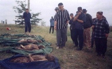 Σαν Σήμερα – Γεννιέται ο Ανδρέας Παπανδρέου | iefimerida.gr 9