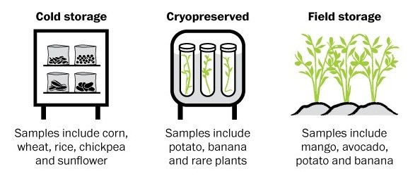 Το νησί που θα σώσει την ανθρωπότητα, αν καταστραφούν όλες οι καλλιέργειες - Τι φυλάσσεται εκεί [εικόνες] | iefimerida.gr 0