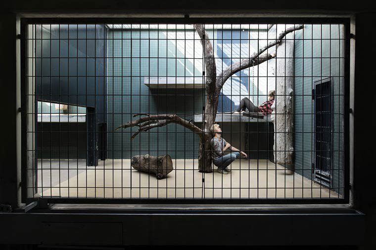 Ζωολογικός κήπος με ανθρώπους: Η φωτογράφιση που σοκάρει [εικόνες] | iefimerida.gr 8