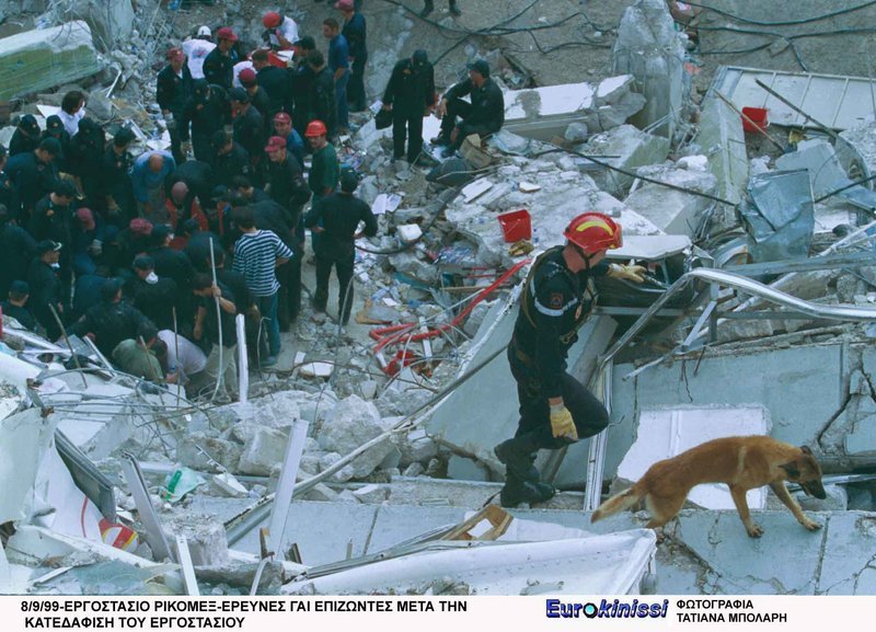 Τετράποδα στο... ρεπορτάζ -Σε πορείες, παρελάσεις, με τον Καραμανλή και τον Τσίπρα [εικόνες] | iefimerida.gr 20