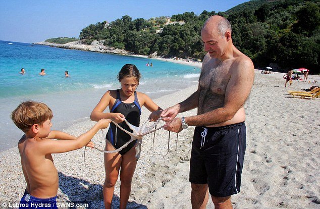 Το σπάνιο εξάποδο χταπόδι που έγινε μεζές από Ελληνοαμερικάνο ομογενή στο Πήλιο [εικόνες] | iefimerida.gr 4