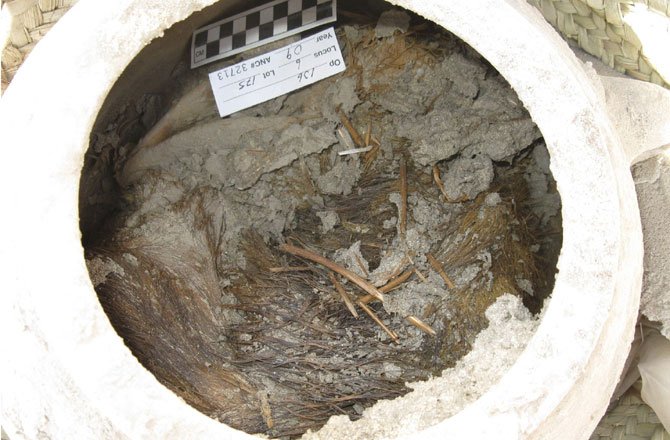 Ανατριχιαστική αρχαιολογική ανακάλυψη: Οι αρχαίοι Αιγύπτιοι έθαβαν τα σκυλιά τους σε πιθάρια [εικόνες] | iefimerida.gr 4