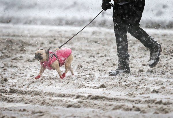 Μαίνεται η χιονοθύελλα στις ΗΠΑ: Εντυπωσιακά στιγμιότυπα από το κατάλευκο τοπίο [εικόνες] | iefimerida.gr 1