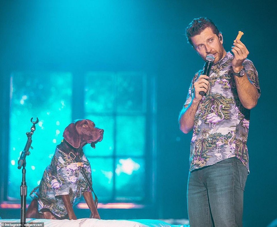 Μετά τα Rich Kids, ήρθαν τα κακομαθημένα πλουσιόσκυλα του Instagram -Χλιδάτα ρούχα, ιδιωτικά τζετ και... γκουρμεδιές [εικόνες] | iefimerida.gr 33