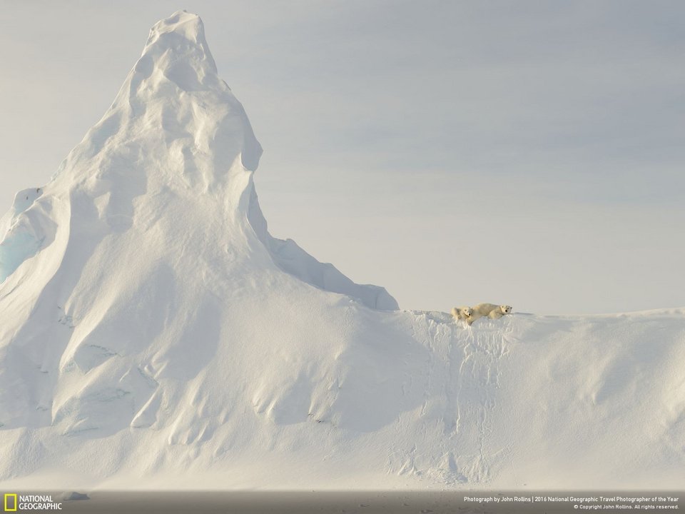Μοναδικά καρέ -Οι φωτογραφίες που διακρίθηκαν στο διαγωνισμό του National Geographic [εικόνες] | iefimerida.gr 5