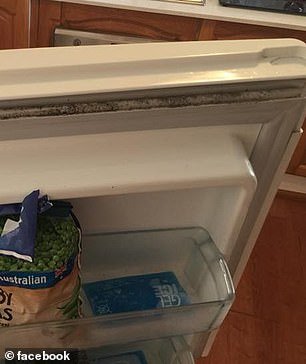 Το μαγικό σπρέι των 5 υλικών -Φτιάξτε το μόνοι σας, καθαρίζει κάθε βρωμιά | iefimerida.gr 1