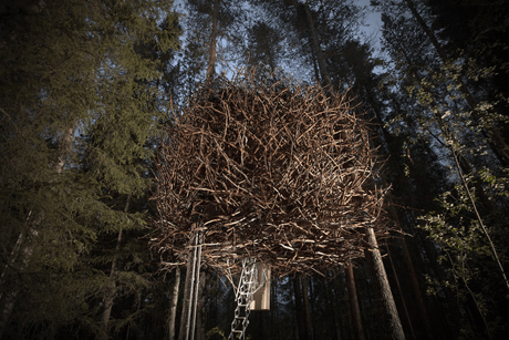 Το δενδρόσπιτο των UFO - Ενα ξενοδοχείο αλλιώτικο από τα άλλα [εικόνες] | iefimerida.gr 7