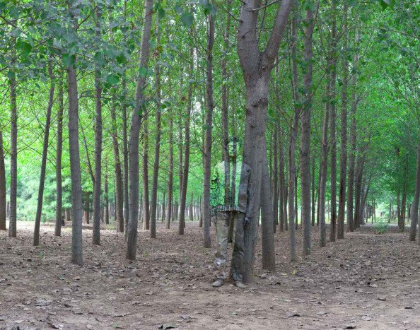 Τώρα τον βλέπεις, τώρα δεν τον βλέπεις- Η μαγική τέχνη του καμουφλάζ κάνει τον Λιου Μπόλιν αόρατο [εικόνες] | iefimerida.gr 7