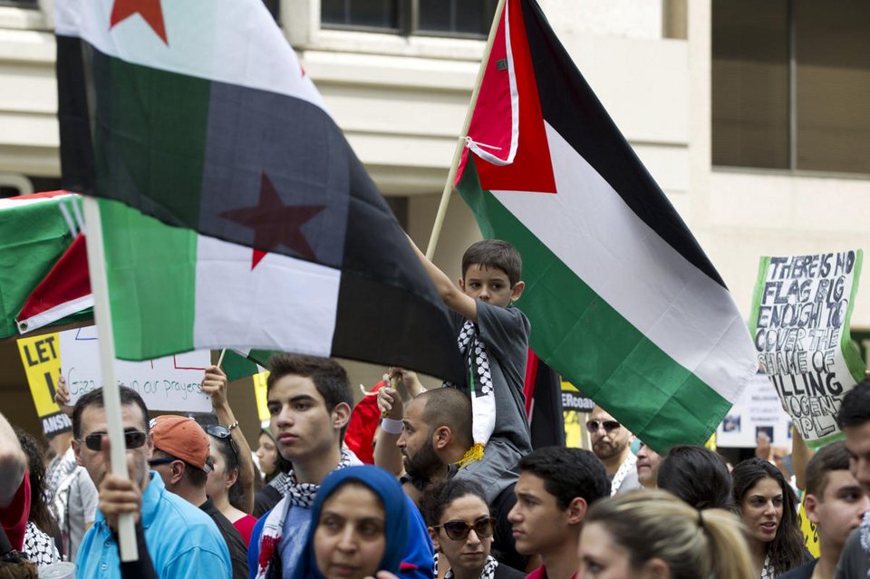 Χιλιάδες σημαίες της Παλαιστίνης έξω από το Λευκό Οίκο -Διαμαρτυρία για το μακελειό στη Γάζα [εικόνες] | iefimerida.gr 0