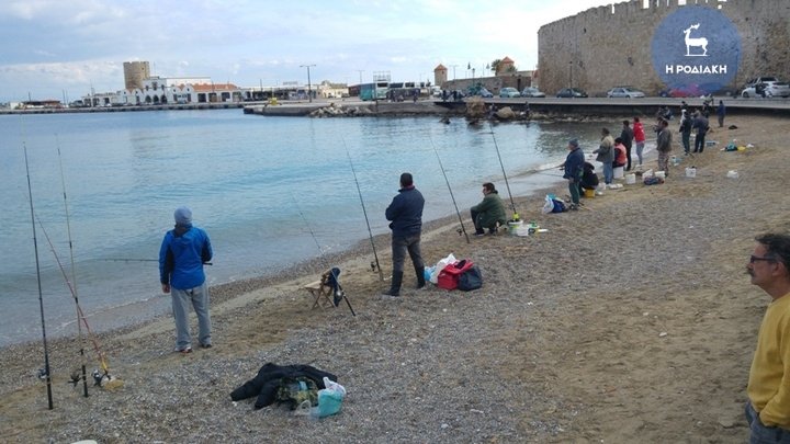 Πανζουρλισμός στη Ρόδο: Χιλιάδες τσιπούρες βγήκαν στη στεριά -Τι συνέβη [εικόνες & βίντεο] | iefimerida.gr 1