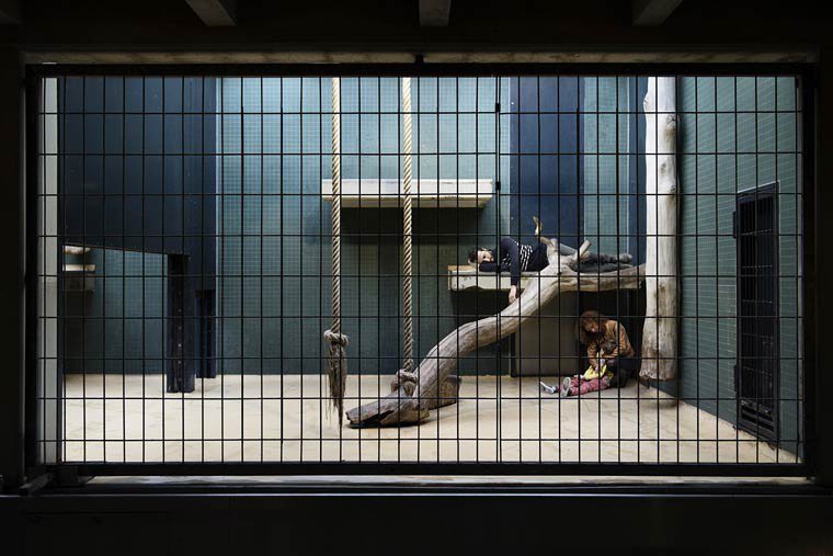 Ζωολογικός κήπος με ανθρώπους: Η φωτογράφιση που σοκάρει [εικόνες] | iefimerida.gr 11