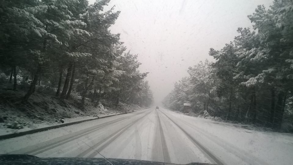 «Ντύθηκε» στα λευκά η Μυτιλήνη – Πολλά προβλήματα στο οδικό δίκτυο [εικόνες] | iefimerida.gr 0