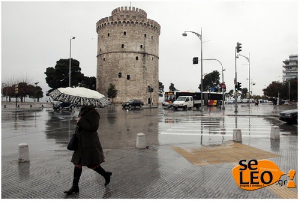 Βιβλική καταιγίδα στη Θεσσαλονίκη: Οι δρόμοι έγιναν ποτάμια και ένα δέντρο γκρέμισε... περίπτερο! [εικόνες&βίντεο] | iefimerida.gr 0