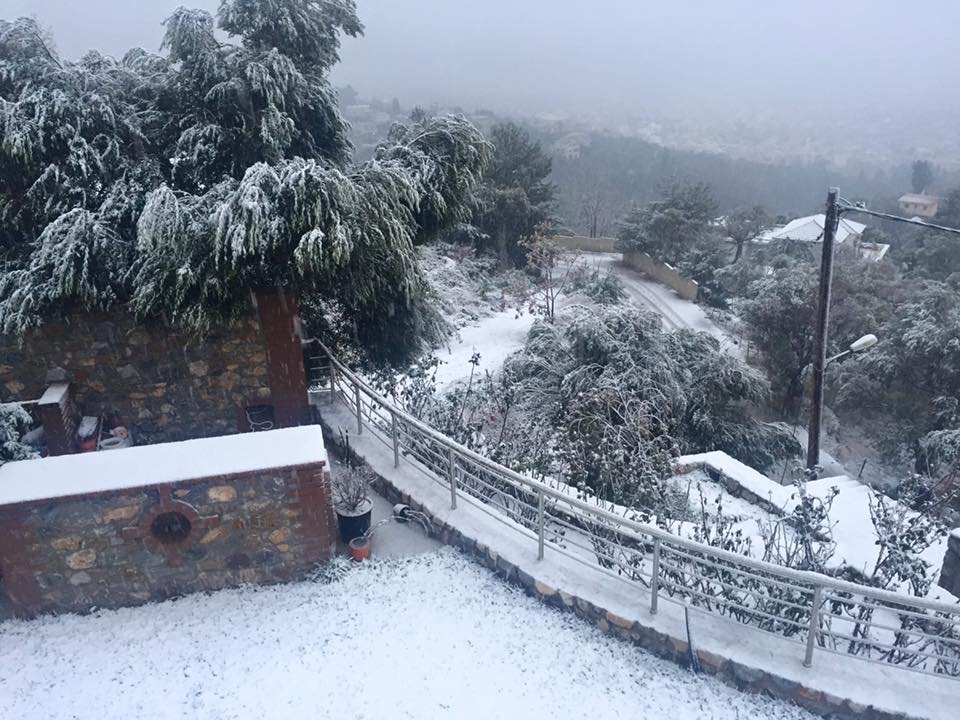 «Ντύθηκε» στα λευκά η Μυτιλήνη – Πολλά προβλήματα στο οδικό δίκτυο [εικόνες] | iefimerida.gr 3