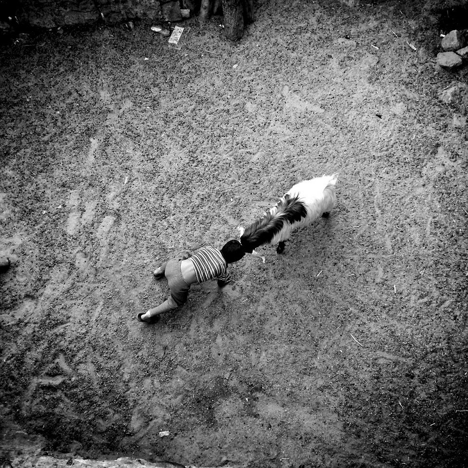 Η καλύτερη φωτογραφική βρίσκεται στην τσέπη μας -Οι 14 καλύτερες φωτογραφίες από κινητά [εικόνες] | iefimerida.gr 2