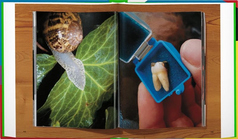 Πώς να εκδώσετε το δικό σας φωτογραφικό λεύκωμα -Workshop στο Atopos, δωρεάν [εικόνες] | iefimerida.gr 2