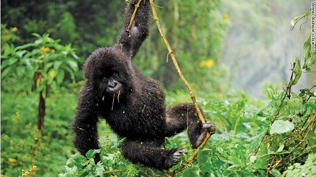 Οι καλύτεροι προορισμοί για το 2014: Πού να πάτε διακοπές την ερχόμενη χρονιά [εικόνες] | iefimerida.gr 8