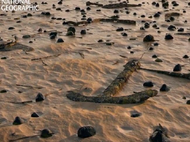 Ετσι διαλύθηκε στη θάλασσα η πτήση ΜΗ370 -Βίντεο του National Geographic με το θανατηφόρο σπιράλ | iefimerida.gr 5