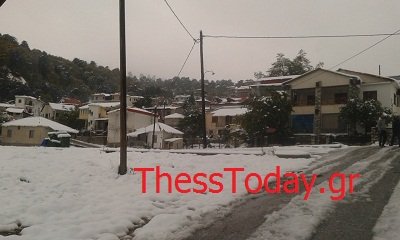 Ντύθηκαν στα άσπρα τα Γρεβενά: Χιόνι σκέπασε την περιοχή [εικόνες] | iefimerida.gr 1