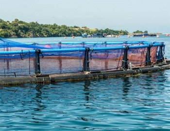 Ομιλος Ανδρομέδα: Ισχυρό ενδιαφέρον για την εξαγορά Νηρέα -Σελόντα | iefimerida.gr 0