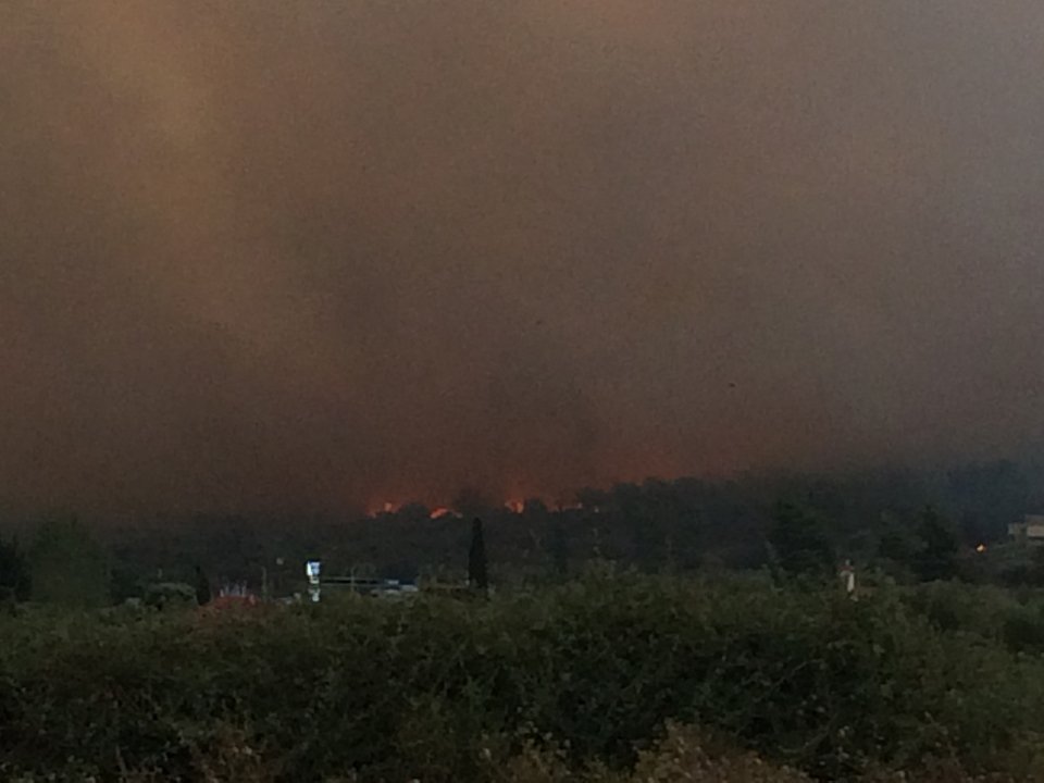 Πύρινο μέτωπο 5 χιλιομέτρων κατακαίει την Αιτωλοακαρνανία [εικόνες] | iefimerida.gr 4