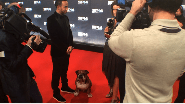 Το μπουλντόγκ του Χάμιλτον έκλεψε την παράσταση στα βραβεία [εικόνες & βίντεο] | iefimerida.gr 5