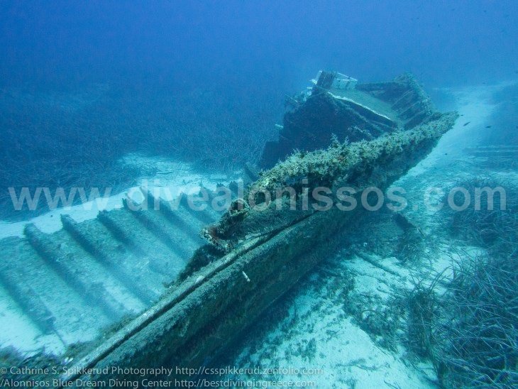 Διακοπές στο... βυθό: Η εναλλακτική Αλόννησος για τους λάτρεις της περιπέτειας [εικόνες]  | iefimerida.gr 1