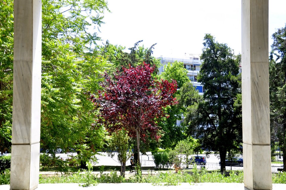 Σήμερα η Αθήνα αποκτά μια νέα εμπειρία – Η αναγγελία θα γίνει με τρομπέτες και θρόισμα σελίδων [εικόνες] | iefimerida.gr 3