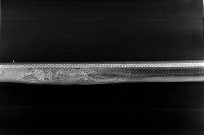 Πύθωνας καταβρόχθισε ολόκληρο αλιγάτορα [εικόνες]  | iefimerida.gr 2