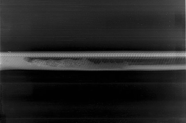 Πύθωνας καταβρόχθισε ολόκληρο αλιγάτορα [εικόνες]  | iefimerida.gr 4