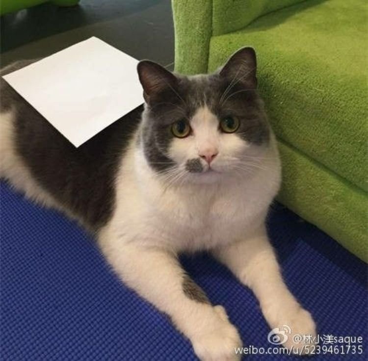 Οσο ένα Α4 -Τόσο αδύνατοι πρέπει να είμαστε [εικόνες] | iefimerida.gr 6