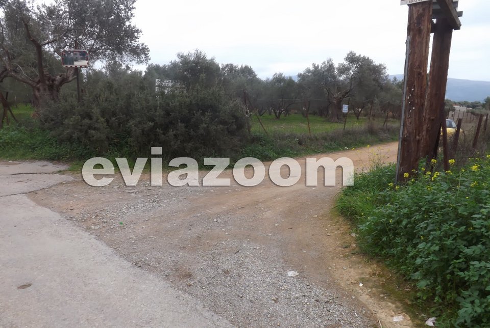 Ξεσπά η μάνα του 6χρονου που εγκατάλειψε οδηγός σχολικού λεωφορείου: «Του έκλεισε τη πόρτα στα μούτρα» [εικόνες&βίντεο] | iefimerida.gr 0