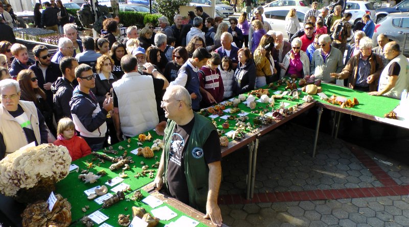 Καθιερωμένο ραντεβού απανταχού μανιταρόφιλων