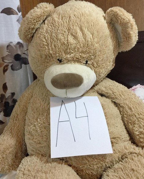 Η νέα εμμονή των γυναικών που ξεπερνά κάθε λογική- Πώς ένα χαρτί Α4 καθορίζει αν είσαι αδύνατη [εικόνες] | iefimerida.gr 11