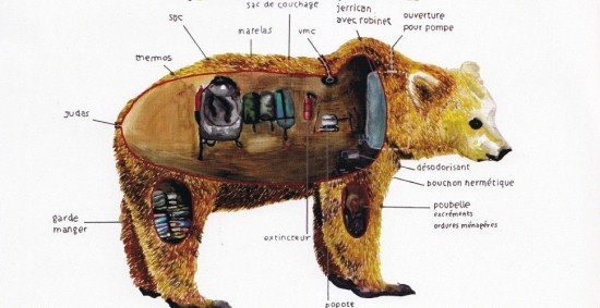 Ζώντας στην κοιλιά μίας αρκούδας: Το αμφιλεγόμενο πρότζεκτ Γάλλου καλλιτέχνη [βίντεο] | iefimerida.gr 0