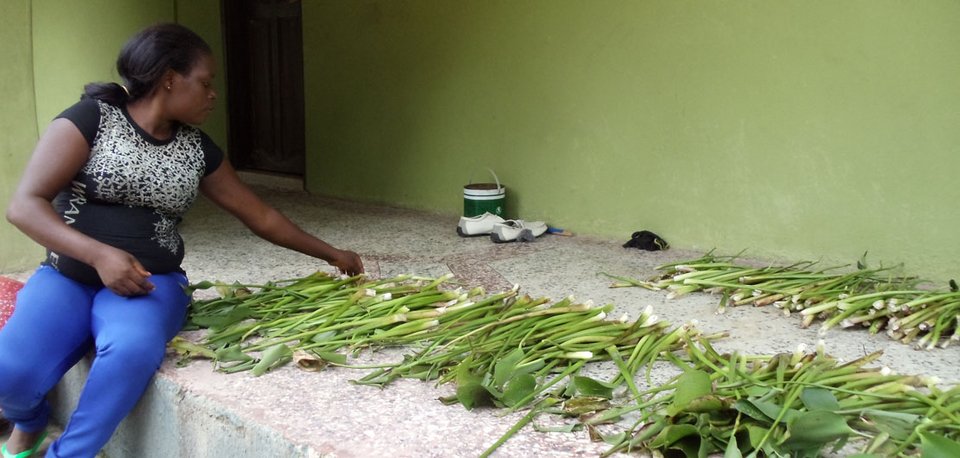 Πλούτισε χρησιμοποιώντας ένα υλικό που δεν ήθελε κανείς [εικόνες] | iefimerida.gr 1