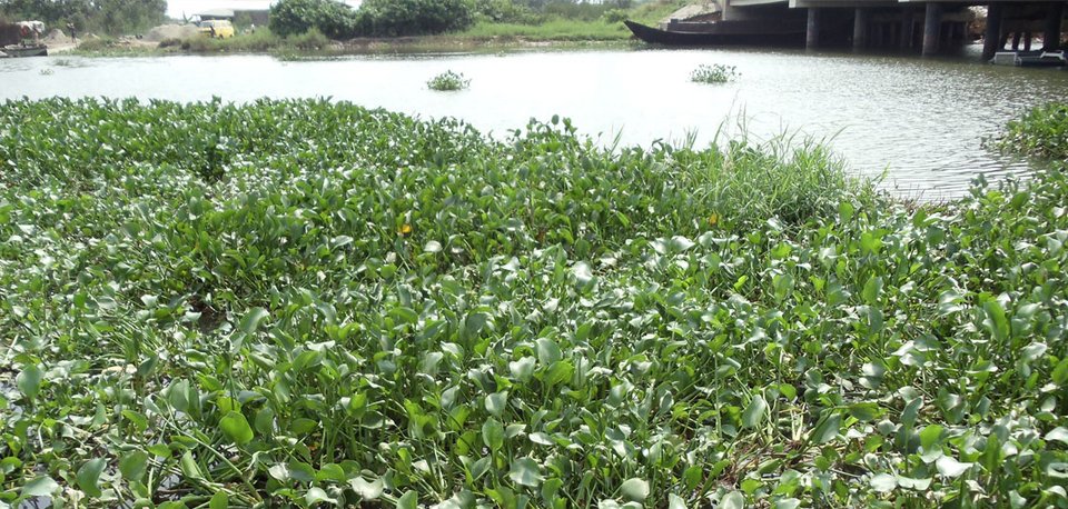 Πλούτισε χρησιμοποιώντας ένα υλικό που δεν ήθελε κανείς [εικόνες] | iefimerida.gr 3