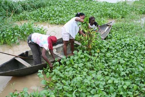 Πλούτισε χρησιμοποιώντας ένα υλικό που δεν ήθελε κανείς [εικόνες] | iefimerida.gr 2
