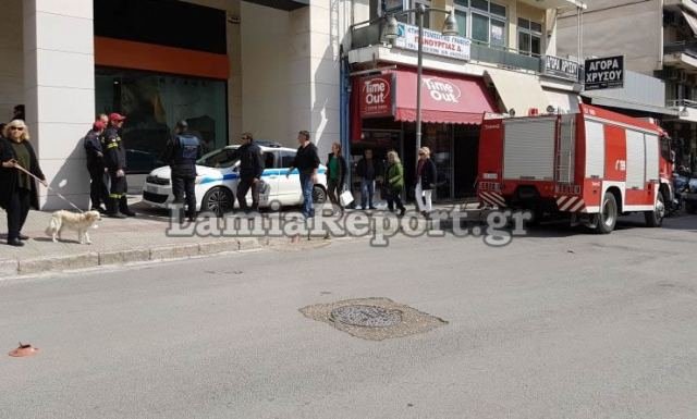 Λαμία: Εστησαν «γιγαντιαία» επιχείρηση για να απομακρύνουν αδέσποτο [εικόνες & βίντεο] | iefimerida.gr 0