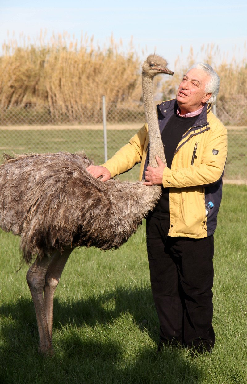 Από τη Βουλή στη βιοπάλη -4 πρώην βουλευτές που έγιναν κτηνοτρόφοι και αγρότες περιγράφουν [εικόνες] | iefimerida.gr 5