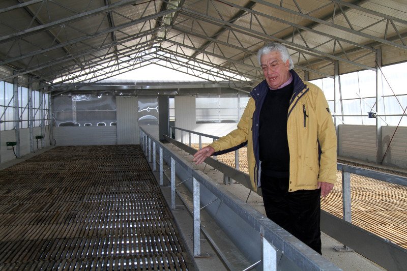 Από τη Βουλή στη βιοπάλη -4 πρώην βουλευτές που έγιναν κτηνοτρόφοι και αγρότες περιγράφουν [εικόνες] | iefimerida.gr 6