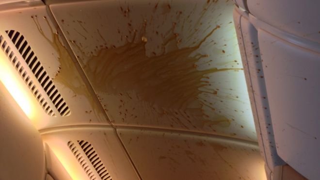 Το αεροπλάνο γέμισε καφέδες και κρουασάν -Ενα κενό αέρος προκάλεσε τον πανικό [εικόνες] | iefimerida.gr 0