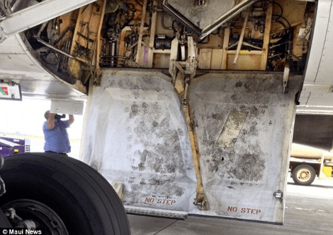 Απίστευτο βίντεο -Η στιγμή που ο 16χρονος που ταξίδεψε στους τροχούς αεροπλάνου, πηδά στο έδαφος και τα... χάνει που είναι ζωντανός [βίντεο] | iefimerida.gr 2