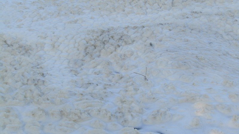 Γιάννενα: Γέμισε αφρούς και πλαγκτόν η λίμνη Παμβώτιδα [εικόνες] | iefimerida.gr 1