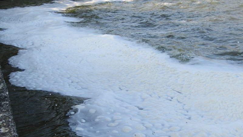 Γιάννενα: Γέμισε αφρούς και πλαγκτόν η λίμνη Παμβώτιδα [εικόνες] | iefimerida.gr 2