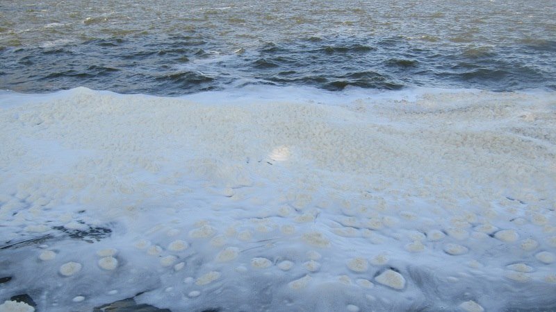 Γιάννενα: Γέμισε αφρούς και πλαγκτόν η λίμνη Παμβώτιδα [εικόνες] | iefimerida.gr 0