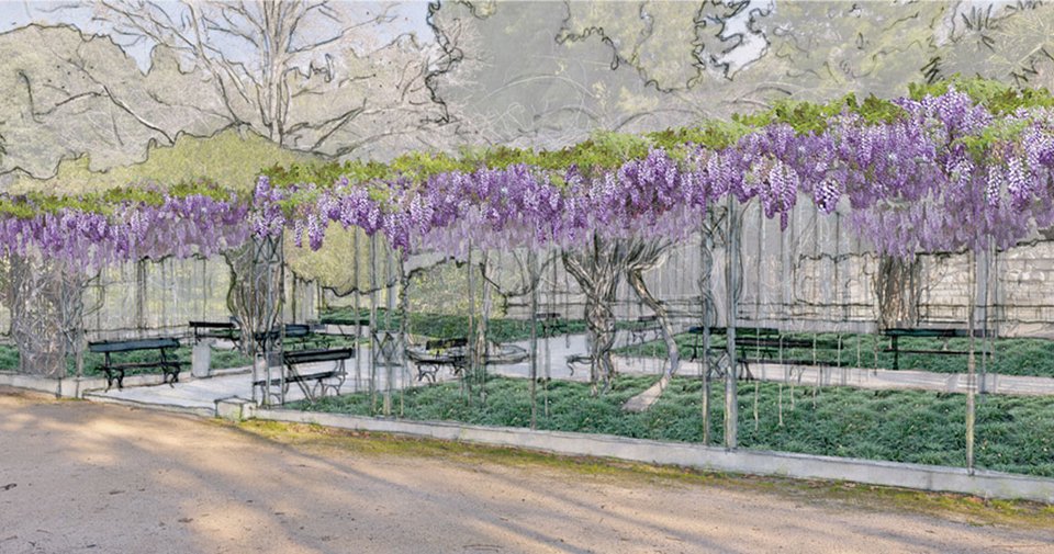 To Πριν και το Μετά του Εθνικού Κήπου: Η νέα εικόνα, οι παρεμβάσεις και η επιστροφή της θέας στην Ακρόπολη [εικόνες] | iefimerida.gr 12